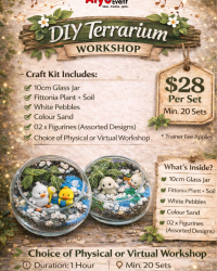 DIY Terrarium